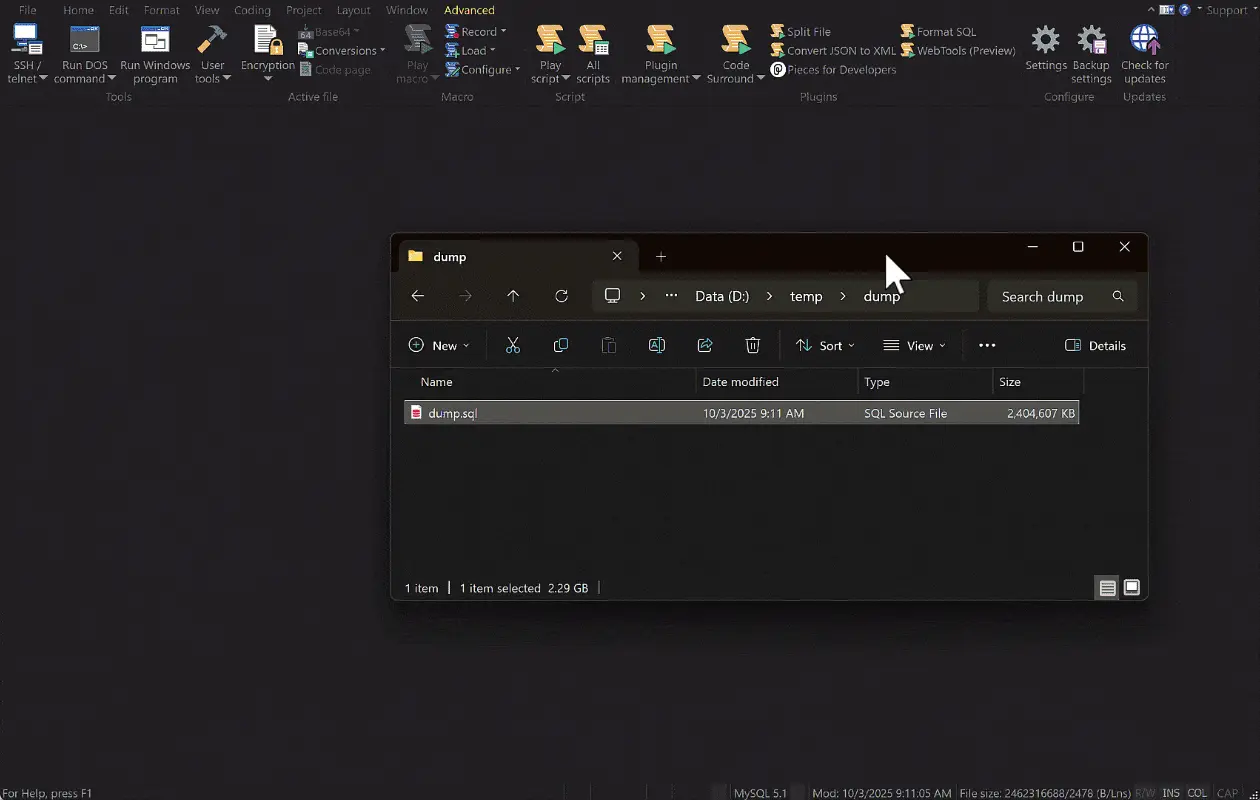 UltraEdit 編輯超大檔案
